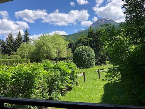 - une vue sur un champ arboré et une montagne dans l'établissement LES SAPINS Joséphine Immobilier, à Saint-Chaffrey