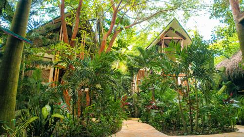 a house with a bunch of trees and plants at La Brisa Tranquila in Guachaca