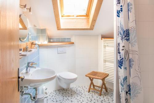 een kleine badkamer met een wastafel en een toilet bij Beim Danner in Riedering