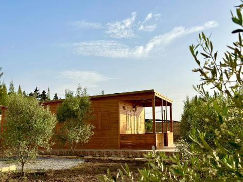 a small wooden house with a lot of windows at Ecolodge Vert, Benslimane in Oulad Youssef