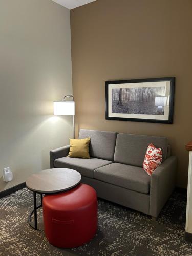 a living room with a couch and a table at Comfort Suites Columbia at Harbison in Columbia