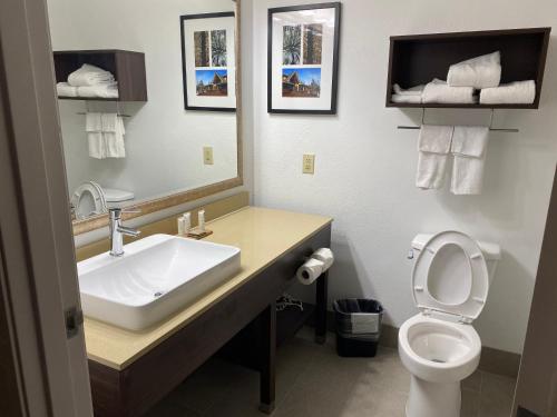 a bathroom with a sink and a toilet at Country Inn & Suites by Radisson, Columbia Airport, SC in Columbia