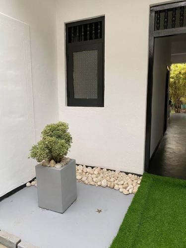 Pearl Villa Rooms and Hostelにある庭