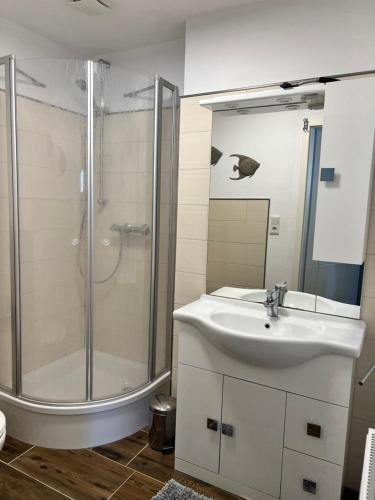 a bathroom with a sink and a shower at Apartment Haus-Lisa Studio 1 in Emden