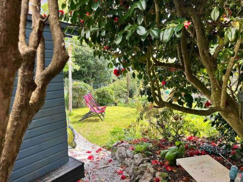 a garden with a red chair and a tree at The Hive in St Austell