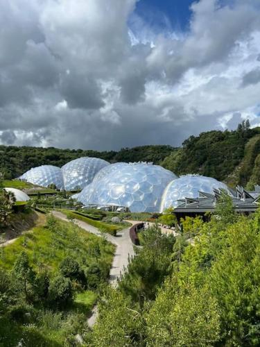 a group of domes in a field with trees at The Hive in St Austell