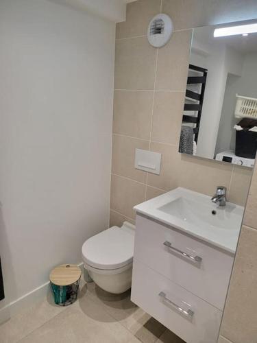 une salle de bain avec toilettes et lavabo dans l'établissement Studio 2 personnes équipé, à Vignac