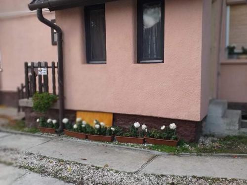 Un bouquet de fleurs en pots sur le côté d'une maison dans l'établissement Pihenés a Malomtónál privát bérlemény, à Tapolca