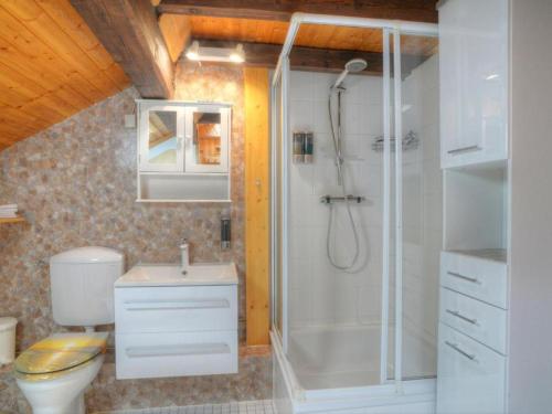 een badkamer met een douche, een toilet en een wastafel bij Ferienwohnung Elena mit eigener Sauna in Northeim