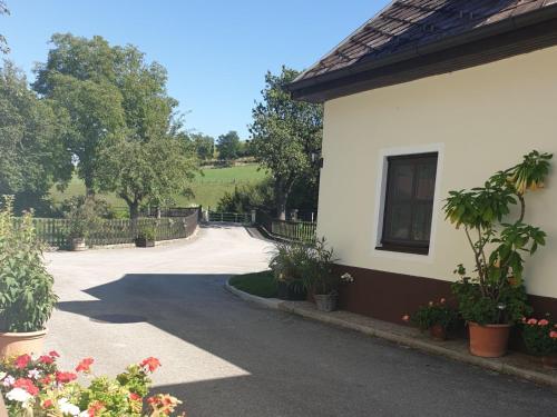 a house with a driveway with plants and flowers at Familie Stoier in Reichenau
