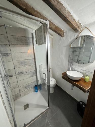 a bathroom with a shower and a toilet and a sink at Casa De La Aguadora in Iznatoraf