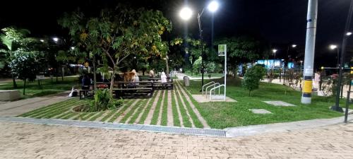 a dog sitting on a bench in a park at night at Hermosa vivienda central en el mejor lugar de Medellín in Envigado