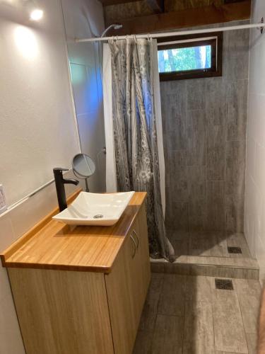 a bathroom with a sink and a shower at A Modo Mío in San Carlos de Bariloche