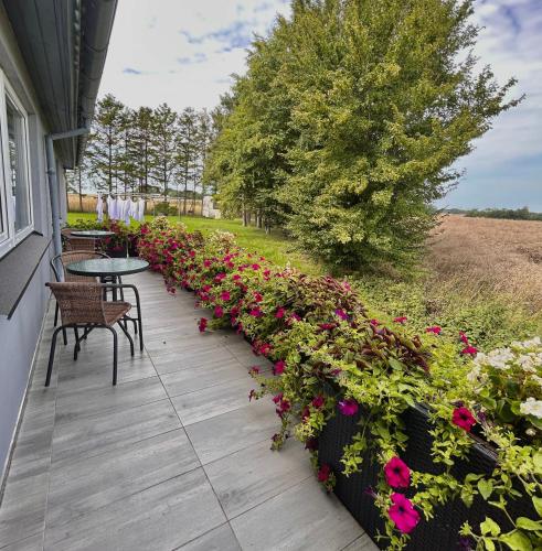 Gallery image of Apartamenty Molle in Åkirkeby
