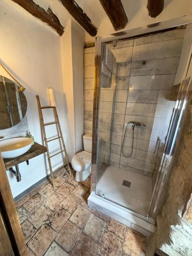 a bathroom with a shower and a toilet at Alojamiento Manzanilla in Iznatoraf