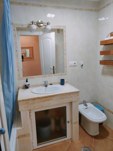 a bathroom with a sink and a mirror and a toilet at Pita 1 in Níjar