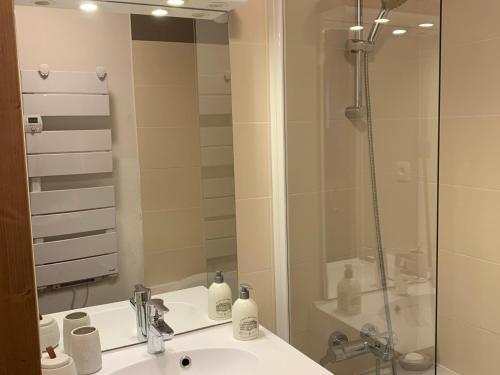 a bathroom with a sink and a shower at Bel appartement avec piscine, sauna et parkings à Pralognan-la-Vanoise - FR-1-464-217 in Pralognan-la-Vanoise