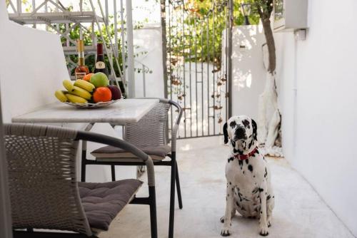 Domácí mazlíčci ubytovaní s hosty v ubytování Villa Artemis Cycladic Charmed !