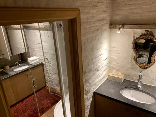 La salle de bains est pourvue d'un lavabo et d'un miroir. dans l'établissement Hamiora wellness B&B, à Deinze