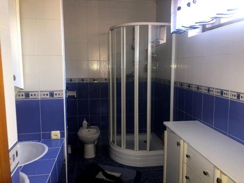 a bathroom with a shower and a toilet and a sink at Prutets Guest House in Tatariv