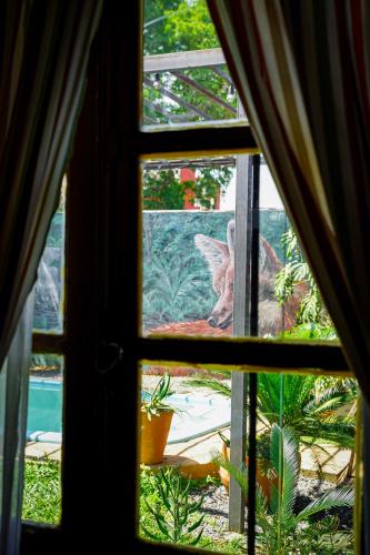 a view through a window of a garden at Nomada Hostel in Asuncion