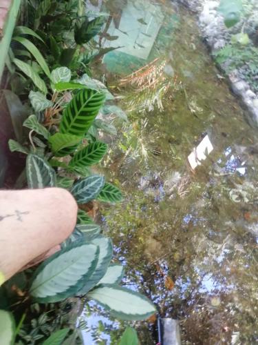 el ceibo backpakers – Photos 2