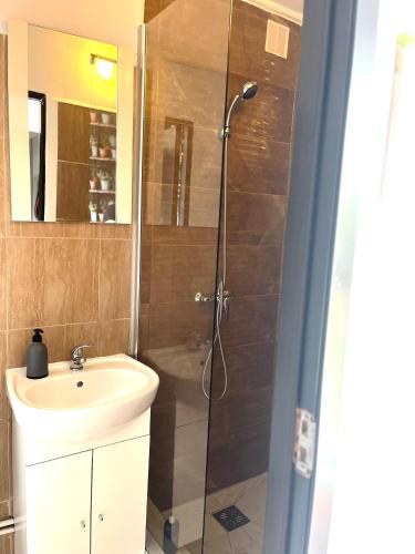 La salle de bains est pourvue d'une douche et d'un lavabo. dans l'établissement Casa Privata, à Râșnov