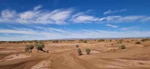 a desert with dirt roads and trees in the distance at dar Brahim in Mhamid