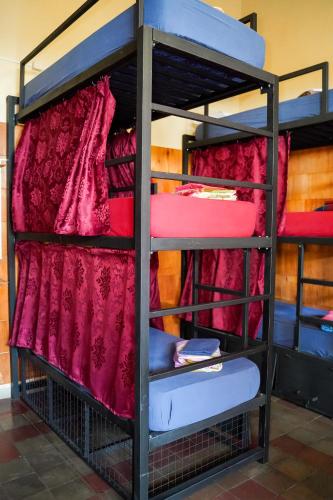 a bunk bed in a room with red bunk beds at Nomada Hostel in Asuncion