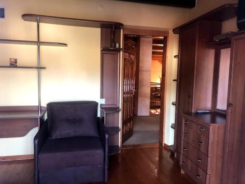 a living room with a chair and a closet at Prutets Guest House in Tatariv