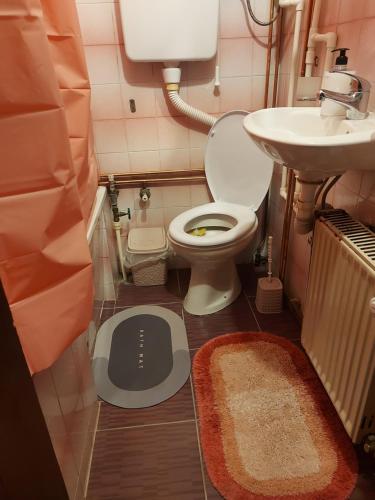 ein kleines Bad mit WC und Waschbecken in der Unterkunft Quattro apartment in Zaječar
