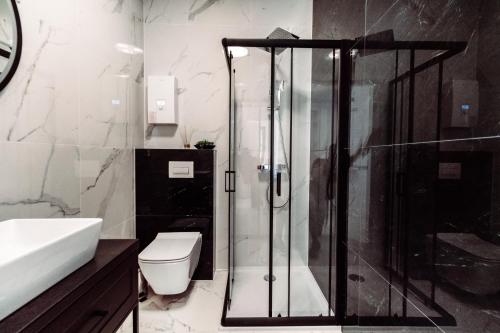 a bathroom with a shower and a toilet and a sink at Apartamenty Belni Hel Edyta i Maciej Wolak in Hel