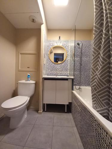 une salle de bain avec toilettes, lavabo et miroir dans l'établissement appartement les pieds dans l'eau, à Cannes