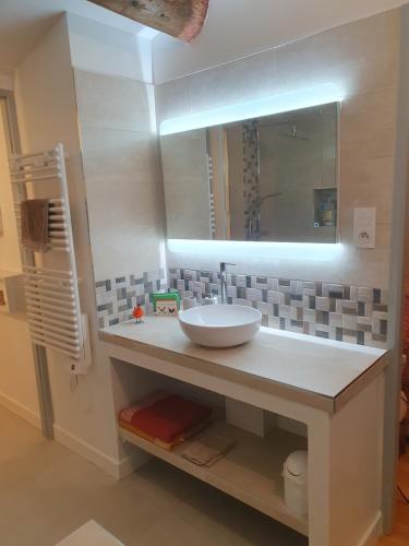 uma casa de banho com um lavatório e um espelho em Chez Danièle et Jean-Pierre em Saint-Julien