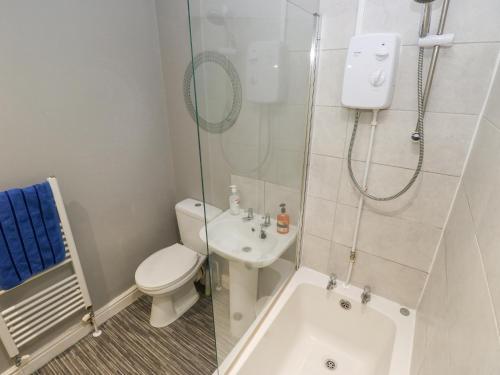 a bathroom with a toilet and a shower and a sink at Bluebell Cottage in Selby