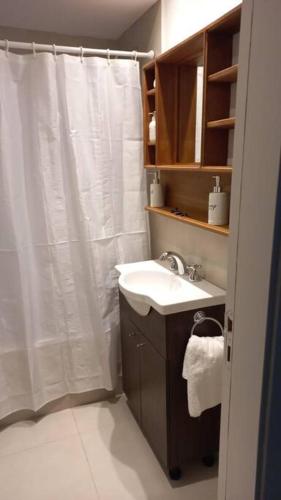 ein Bad mit einem Waschbecken und einem Duschvorhang in der Unterkunft Espectacular departamento con inigualables vistas in Balcarce