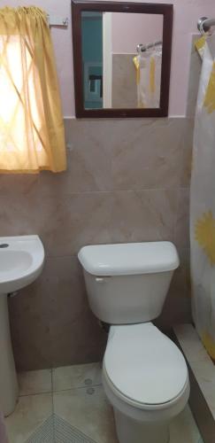 ein Badezimmer mit einem WC, einem Waschbecken und einem Spiegel in der Unterkunft Cliff Apartment in Kingston