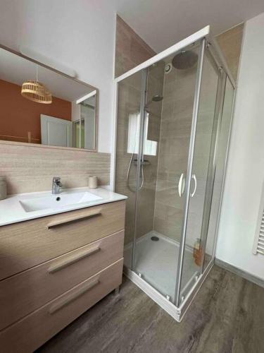 W łazience znajduje się prysznic i umywalka. w obiekcie cosy mery w mieście Méry-sur-Oise