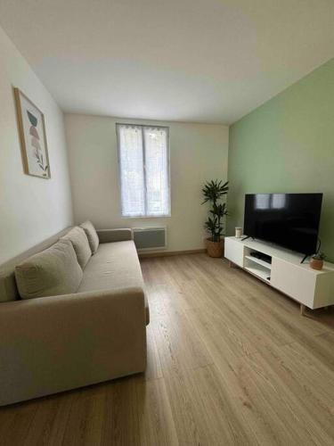 salon z kanapą i telewizorem z płaskim ekranem w obiekcie cosy mery w mieście Méry-sur-Oise