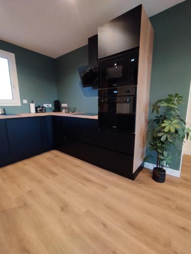 La cuisine est équipée d'un grand réfrigérateur noir et d'une plante. dans l'établissement Le 