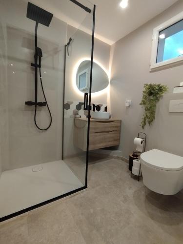 une salle de bain avec une douche, des toilettes et un lavabo dans l'établissement Le 
