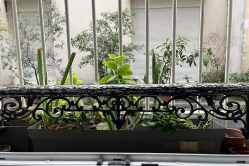 - un balcon avec un bouquet de plantes dans l'établissement Charming apartment in the heart of Paris, à Paris