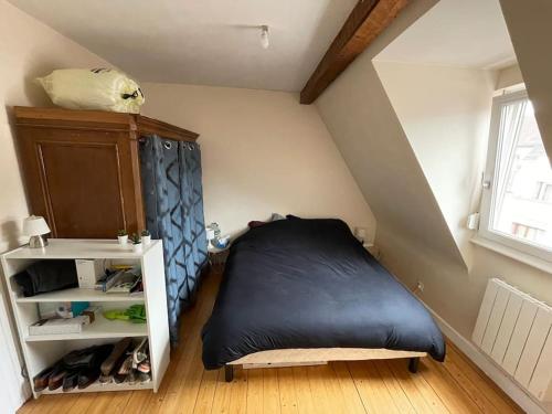 a bedroom with a black bed in a attic at Joli 2 pièces - Krutenau Austerlitz in Strasbourg