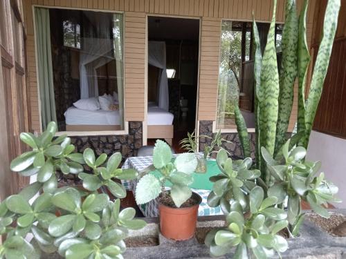 a house with plants in front of a bedroom at Hotel Green Mountain in Turrialba