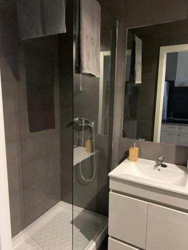 a bathroom with a shower and a sink at Apartamento Pasaje in Seville