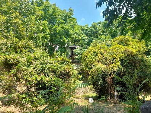 a garden with trees and a bird house in the distance at Mountain and Sea view in Miléai