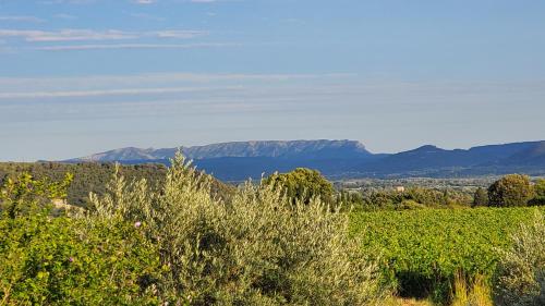 a view of a vineyard with mountains in the background at Rêve en Lubéron in Lauris