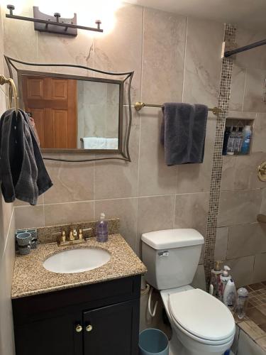a bathroom with a toilet and a sink and a mirror at Forget me not Home in Anchorage