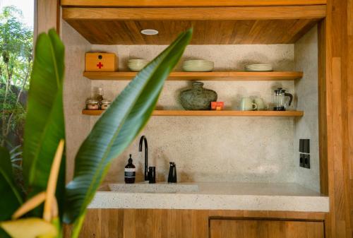 a kitchen sink with wooden shelves and a plant at The Surf Shack - Stylish New 1 BR Studio w/ plunge pool in Uluwatu