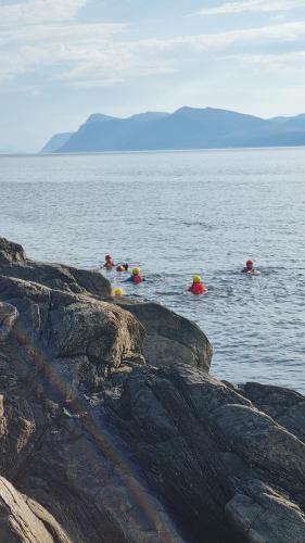 a group of people swimming in a body of water at Runde Miljøsenter & Opplev Runde in Runde